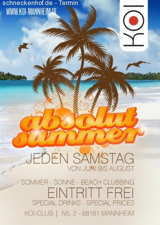 Absolut Summer - Dj Paize Werbeplakat