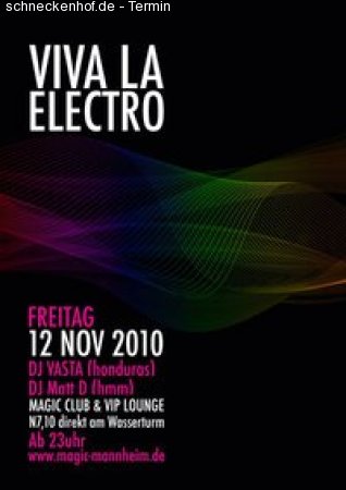 1. Viva la Electro Werbeplakat