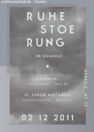 Ruhestoerung - 