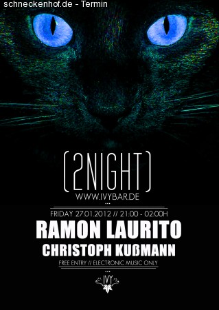 2Night Werbeplakat