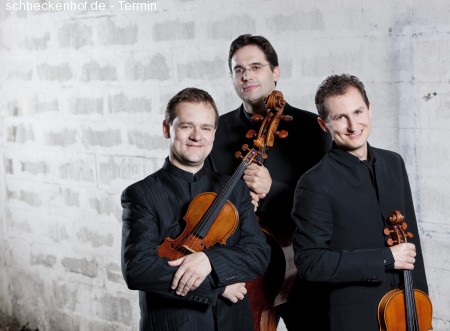 Trio Zimmermann Werbeplakat